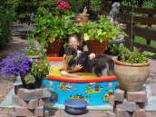 Robin und Yentl