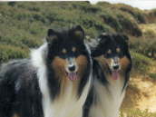  Luca und Noa